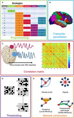 The Influence of Preprocessing Steps on Graph Theory Measures Derived from Resting State fMRI